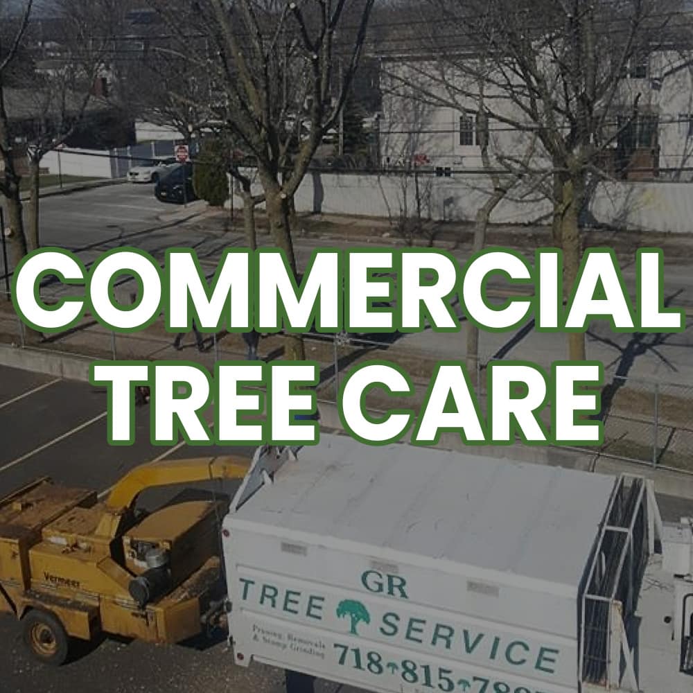 Commercial Tree Care on Staten Island Commercial Tree Care Button