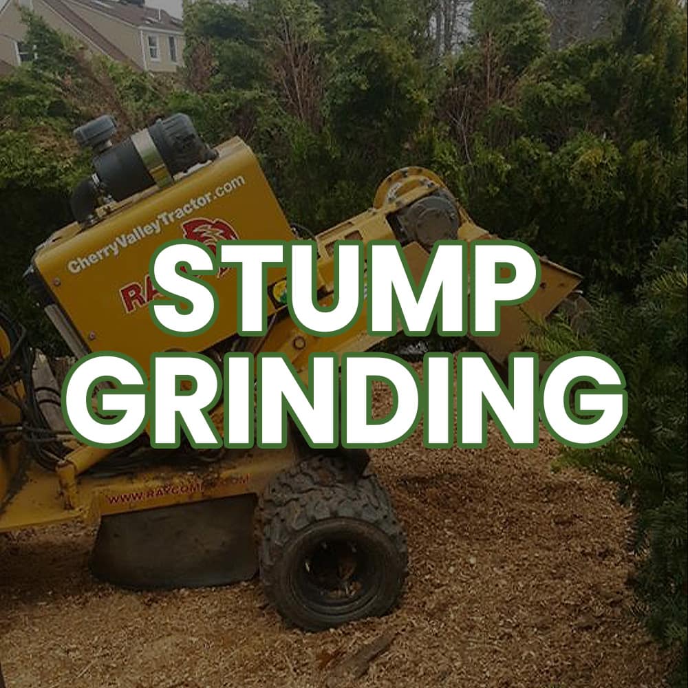 Staten Island Stump Grinding Stump Grinding Button