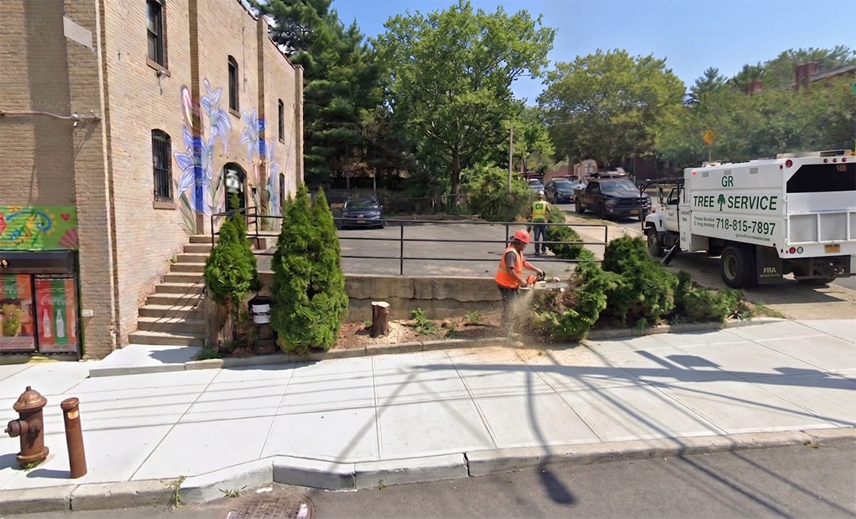 Shrub removal in Staten Island by G&R Tree Service