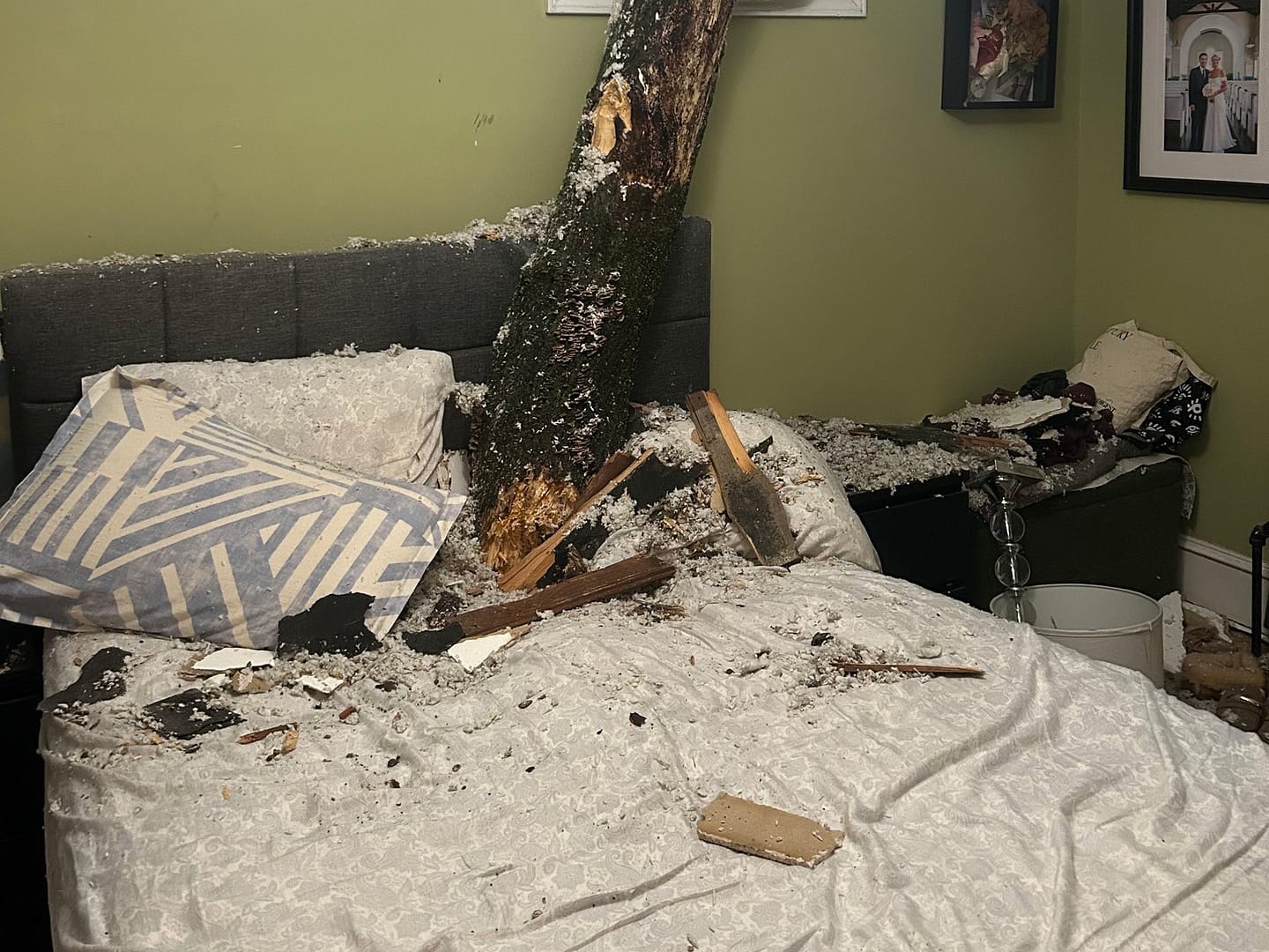 Tree trunk that crashed through a bedroom ceiling in a Staten Island home