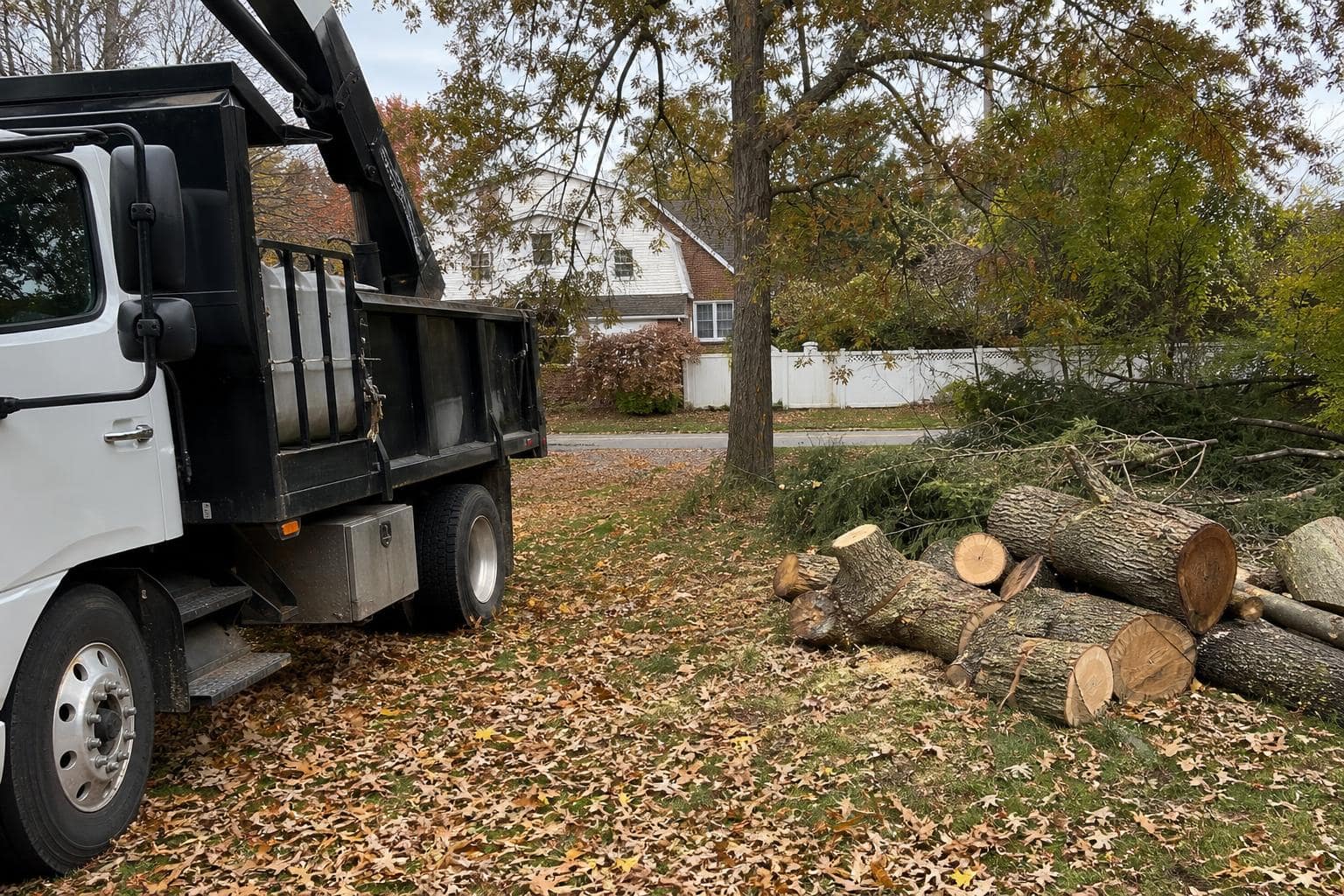 Tree trimming Staten Island in fall, yard and equipment with autumn leaves Tree trimming equipment beside a Staten Island yard covered with autumn leaves; trimmed tree branches visible.