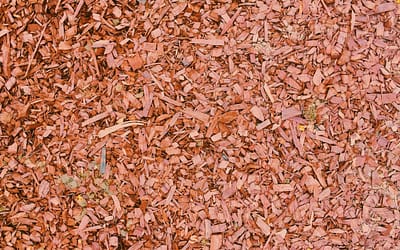 Wood Chips Available for Delivery on Staten Island