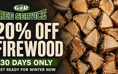 Why Staten Island Homeowners Should Buy Firewood Now, Not in November