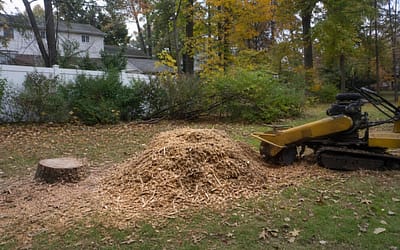 Why Stump Grinding is Essential After Tree Removal on Staten Island